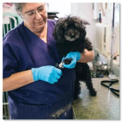 Discount 9.5 in. Long 3 mil Powder-Free Nitrile Exam Gloves - X-Large/Light Blue (1000/Carton) Cleaning & Janitorial Supplies