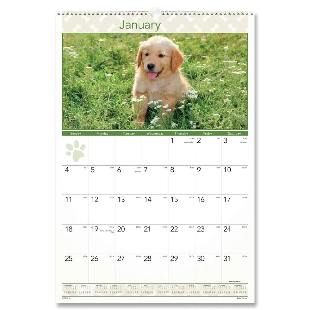 Clearance 12-Month (Jan to Dec): 2026 15.5 in. x 22.75 in. Puppies Photography Puppies Monthly Wall Calendar - White/Multicolor Sheets Calendars & Planners