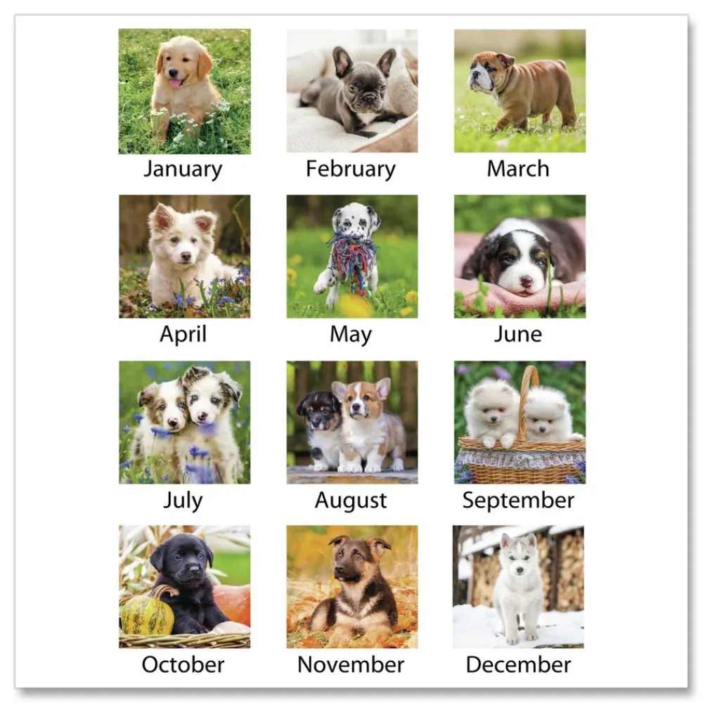 Clearance 12-Month (Jan to Dec): 2026 15.5 in. x 22.75 in. Puppies Photography Puppies Monthly Wall Calendar - White/Multicolor Sheets Calendars & Planners