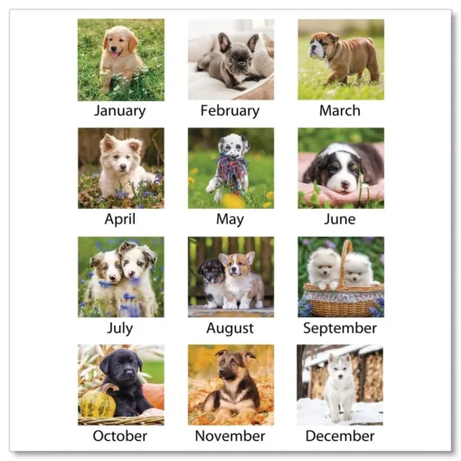 Online 12-Month (Jan to Dec): 2026 22 in. x 17 in. Puppies Photography Puppies Monthly Desk Pad Calendar - White Sheets, Clear Corners Calendars & Planners