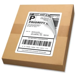 Online 5.5 in. x 8.5 in. Shipping Labels with TrueBlock Technology for Laser Printers - White (2/Sheet, 250 Sheets/Box) Labels & Label Makers