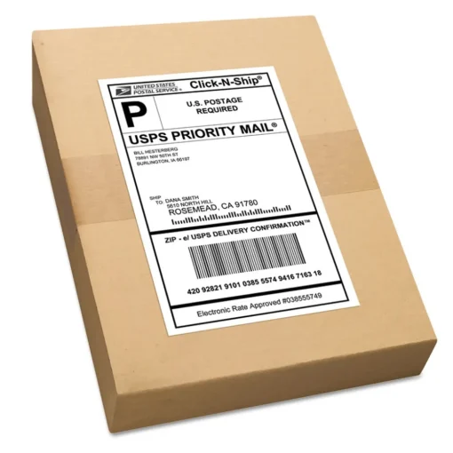Online 5.5 in. x 8.5 in. Shipping Labels with TrueBlock Technology for Inkjet/Laser Printers - White (2/Sheet, 500 Sheets/Box) Labels & Label Makers
