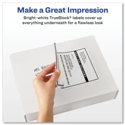 Online 5.5 in. x 8.5 in. Shipping Labels with TrueBlock Technology for Inkjet/Laser Printers - White (2/Sheet, 500 Sheets/Box) Labels & Label Makers