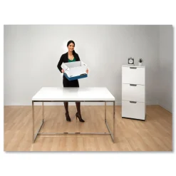 12.75 in. x 16.5 in. x 10.38 in. R-KIVE Heavy-Duty Letter/Legal Storage Boxes with Dividers - White/Blue (12/Carton) Desk Accessories & Office Organizers