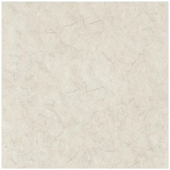 Online 24 in. Diameter Natural Burnishing Floor Pads - White (5/Carton) Cleaning & Janitorial Supplies