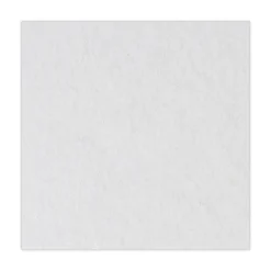 Best 19 in. Diameter Polishing Floor Pads - White (5/Carton) Cleaning & Janitorial Supplies