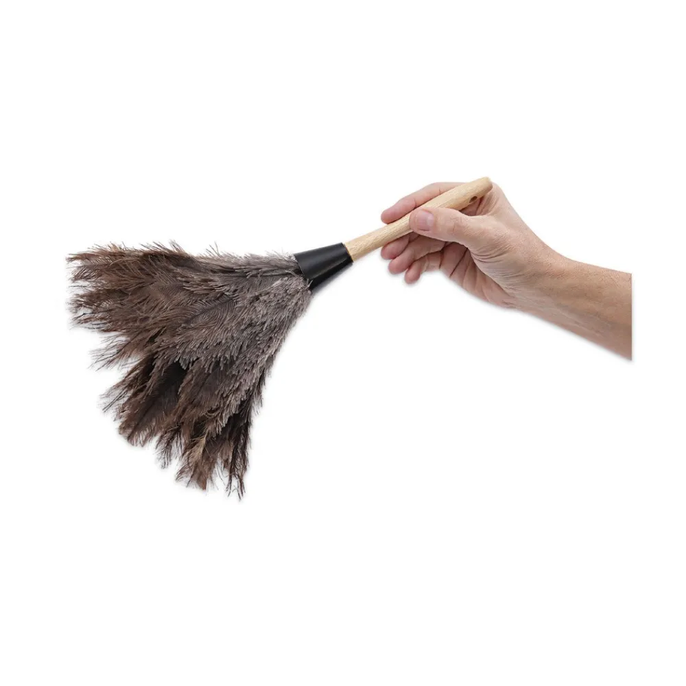 Discount 6 in. Wood Handle Professional Ostrich Feather Duster Cleaning & Janitorial Supplies