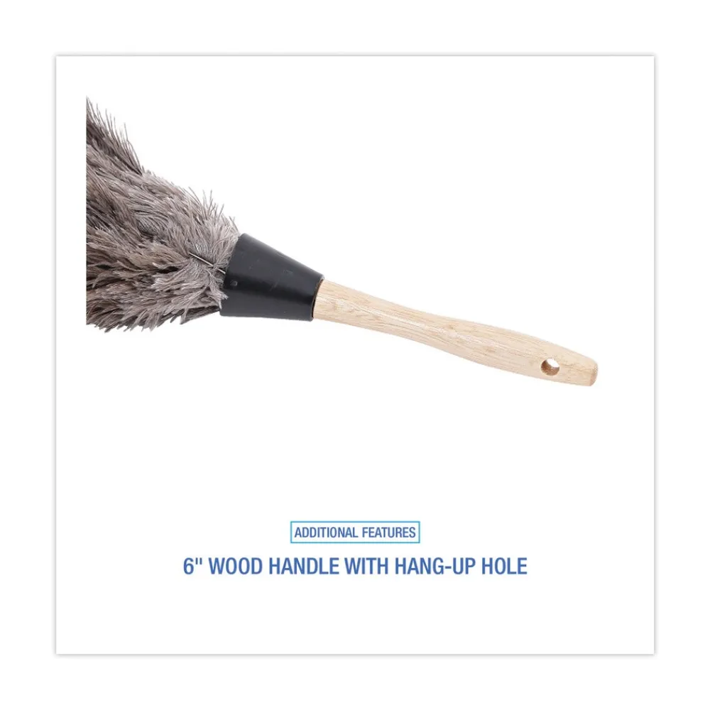 Discount 6 in. Wood Handle Professional Ostrich Feather Duster Cleaning & Janitorial Supplies