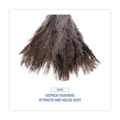 Discount 6 in. Wood Handle Professional Ostrich Feather Duster Cleaning & Janitorial Supplies