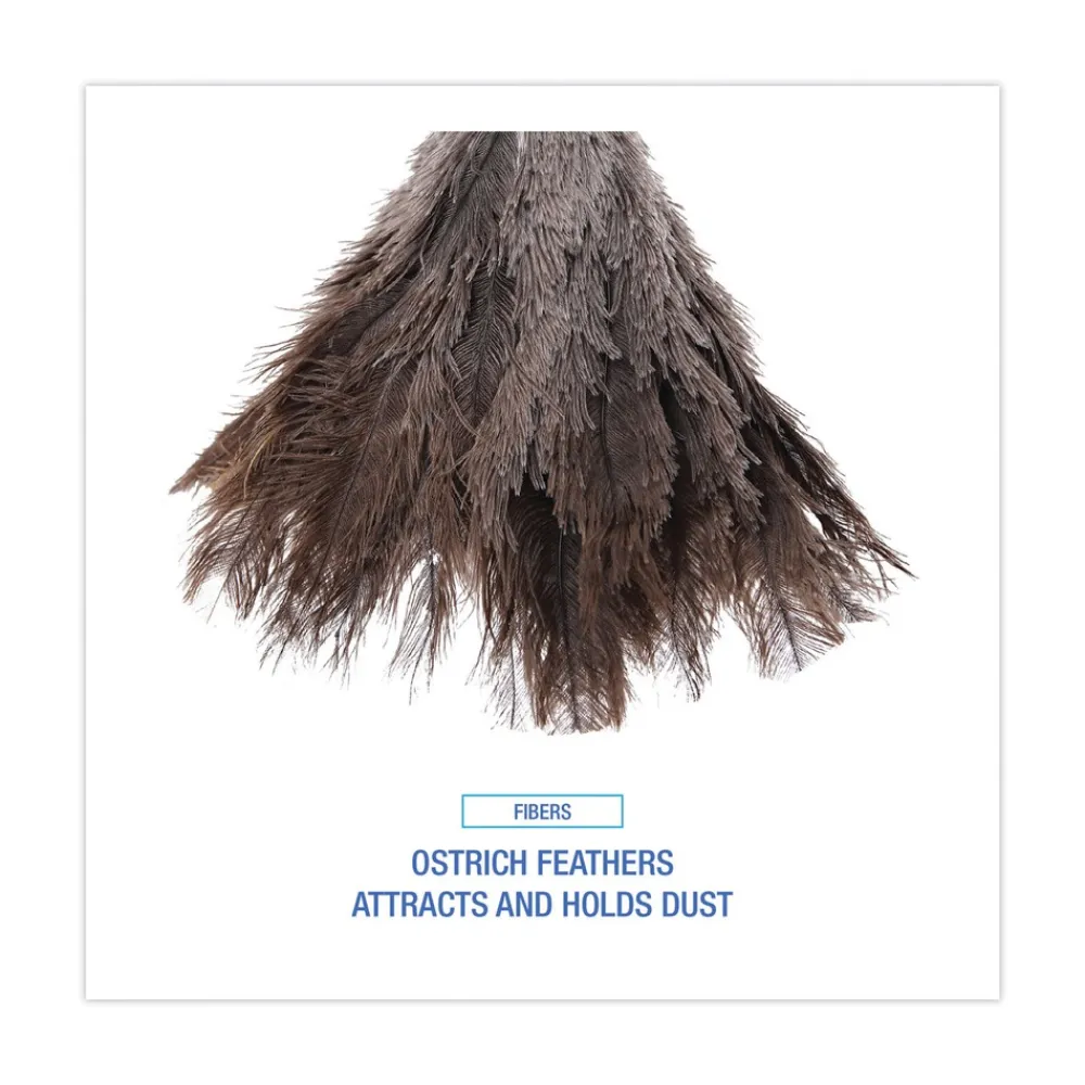 Discount 6 in. Wood Handle Professional Ostrich Feather Duster Cleaning & Janitorial Supplies