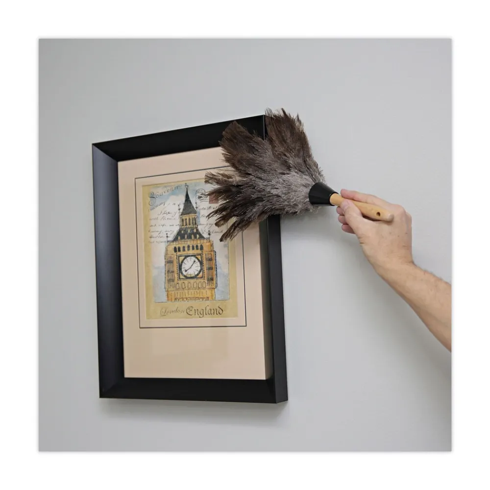 Discount 6 in. Wood Handle Professional Ostrich Feather Duster Cleaning & Janitorial Supplies