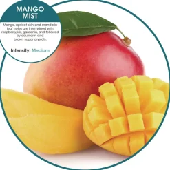New WCBX-P-010I010I-04-AAS80- 0.11 oz WCBasix Urinal Screen - Mango Mist Scent, Orange (10/Box) Cleaning & Janitorial Supplies