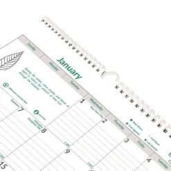 Clearance 12-Month (Jan to Dec): 2026 12 in. x 17 in. EcoLogix Artwork Monthly Wall Calendar - White/Green Sheets Calendars & Planners