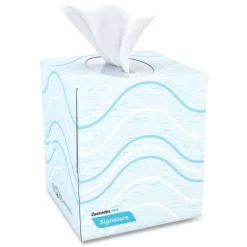 Discount 2-Ply Cube Box Signature Facial Tissue - White (36 Boxes/Carton) Paper & Dispensers