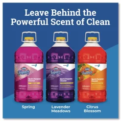 Sale 175 oz. Bottle Pro Fraganzia Multi-Purpose Cleaner - Citrus Blossom Scent (3/Carton) Cleaning & Janitorial Supplies