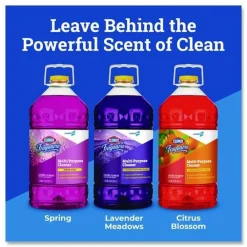 Outlet 175 oz. Bottle Pro Fraganzia Multi-Purpose Cleaner - Lavender Meadows Scent (3/Carton) Cleaning & Janitorial Supplies