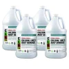 1 gal. Bottle Calcium Lime and Rust Remover (4/Carton) Cleaning & Janitorial Supplies