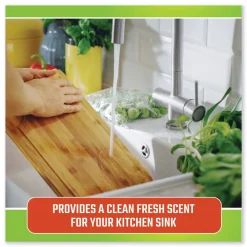 Online Fresh and Clean Garbage Disposal - Fresh Scent (6/Carton) Cleaning & Janitorial Supplies