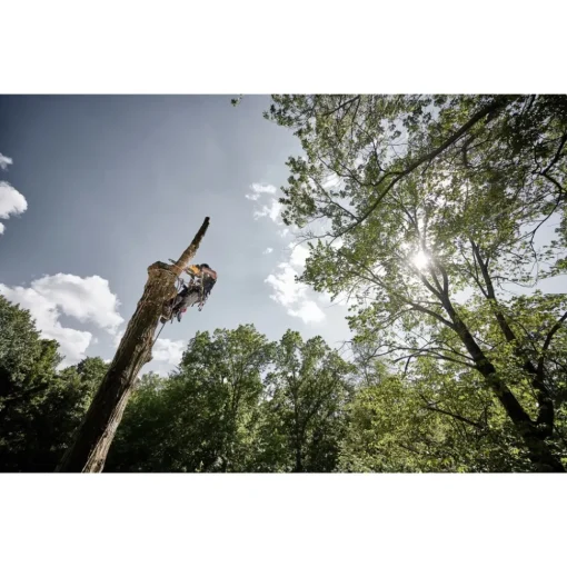 Online 60V MAX Top Handle Lithium-Ion 14 in. Cordless Chainsaw Kit with 2 Batteries (9 Ah) Chainsaws
