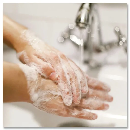 Best 7.5 oz. Antimicrobial Foaming Tabletop Pump Hand Wash (12/Carton) Skin Care & Personal Hygiene
