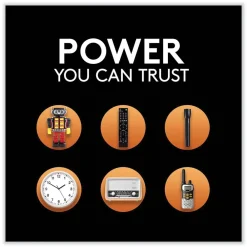 CopperTop Alkaline D Batteries (4/Pack) Battery And Electrical Testers