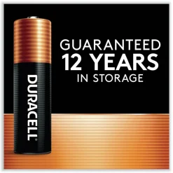 Best Power Boost CopperTop Alkaline AAA Batteries (36/Pack) Battery And Electrical Testers