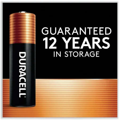 Best Power Boost CopperTop Alkaline AAA Batteries (36/Pack) Battery And Electrical Testers