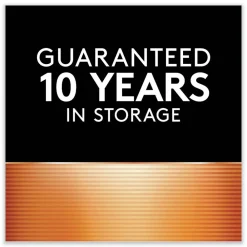 Discount Rechargeable StayCharged NiMH AA Batteries (4/Pack) Battery And Electrical Testers