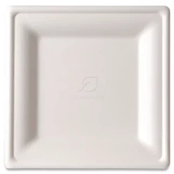 Online Vanguard 7.87 in. x 7.87 in. Renewable and Compostable Sugarcane Plates - White (500/Carton) Tabletop And Serveware