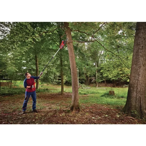 New Factory Reconditioned 8 Amp 10 in. Corded Pole Chainsaw With Extension Pole Chainsaws