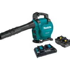 Online Factory Reconditioned 18V X2 (36V) LXT Brushless Lithium-Ion Cordless Blower Kit with 2 Batteries (5 Ah) Leaf Blowers