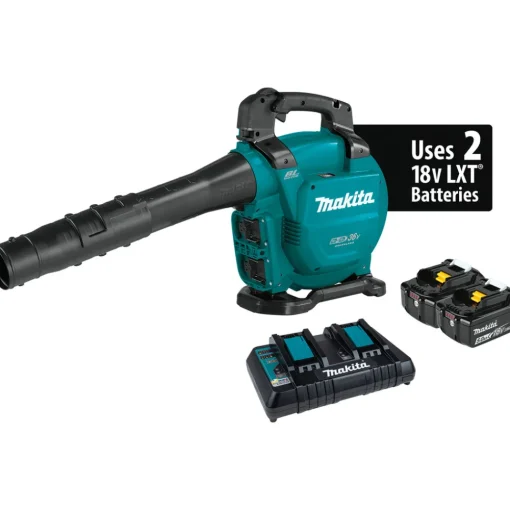 Online Factory Reconditioned 18V X2 (36V) LXT Brushless Lithium-Ion Cordless Blower Kit with 2 Batteries (5 Ah) Leaf Blowers