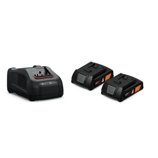 GBA 18V 2 Ah AMPShare Battery Starter Set Power Tool Accessories