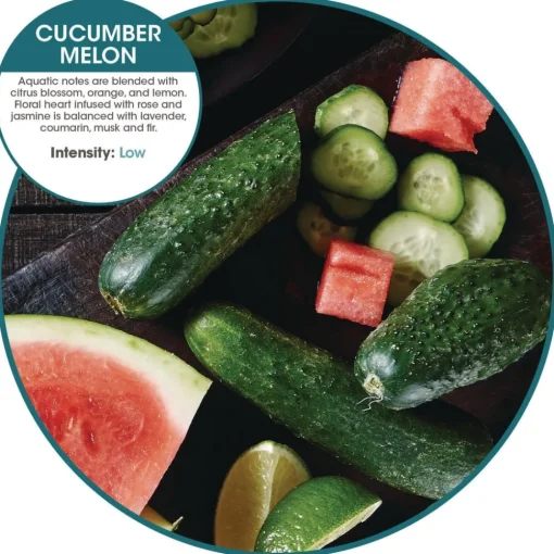 Best myfresh Refills - Cucumber Melon (6/Box) Cleaning & Janitorial Supplies