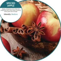 Best ourfresh Airfreshener - Spiced Apple (8/Box) Cleaning & Janitorial Supplies