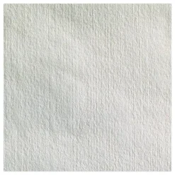 Outlet 9 in. x 12.5 in. Heavyweight HEF Disposable Shop Towels - White (176/Box, 10 Boxes/Carton) Paper & Dispensers