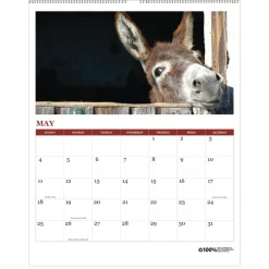 Hot 11 in. x 14 in. 12-Month (Jan-Dec 2026) 100 Percent Recycled Farm Life Wall Calendar - White/Multicolor Sheets Calendars & Planners