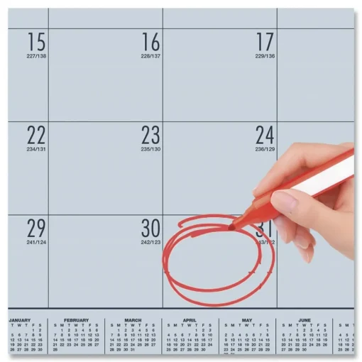 Online EcoTones 22 in. x 17 in. 12-Month (Jan-Dec) 2026 Recycled Monthly Desk Pad Calendar - Ocean Blue/Black Calendars & Planners