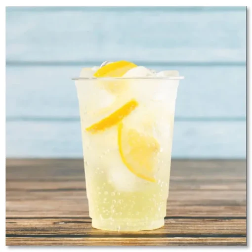 Clearance 10 oz. PET Plastic Cups - Clear (1000/Carton) Tabletop And Serveware