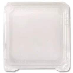 Outlet PET Plastic Hinged Container 9 x 9 x 3.6 Clear Plastic 100/Pack 2 Packs/Carton Tabletop And Serveware