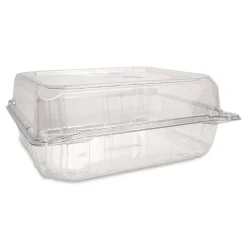 Outlet PET Plastic Hinged Container 9 x 9 x 3.6 Clear Plastic 100/Pack 2 Packs/Carton Tabletop And Serveware