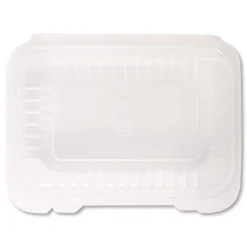 Online Polypropylene Plastic Hinged Container 6 x 9 x 2.97 Clear Plastic 125/Pack 2 Packs/Carton Tabletop And Serveware