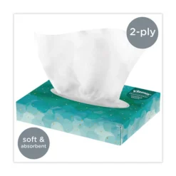 Clearance 21195 2-Ply Facial Tissue Junior Pack - White (80/Carton) Cleaning & Janitorial Supplies