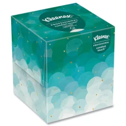 Boutique 2-Ply Facial Tissue - White (95 Sheets/Box) Paper & Dispensers