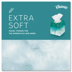 Boutique 2-Ply Facial Tissue - White (95 Sheets/Box) Paper & Dispensers