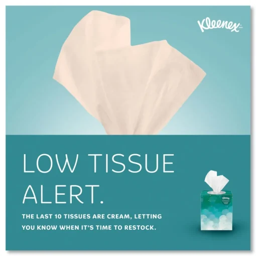 Boutique 2-Ply Facial Tissue - White (95 Sheets/Box) Paper & Dispensers