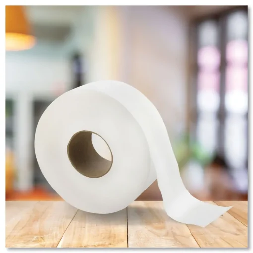 Discount 3.3 in. x 1000 ft. 2-Ply Jumbo Bath Tissue - White (1-Carton) Cleaning & Janitorial Supplies