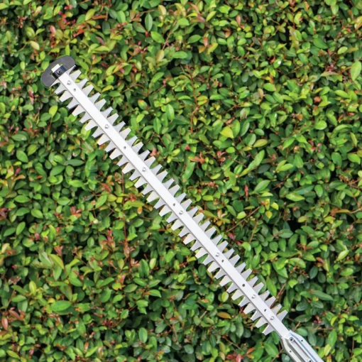 Discount 18V LXT Brushless Lithium-Ion 24 in. Cordless Pole Hedge Trimmer Kit (5 Ah) Hedge Trimmers