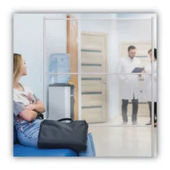 49 in. x 22 in. x 81 in. Protector Series Mobile Glass Panel Divider - Clear/Aluminum Office Furniture & Lighting