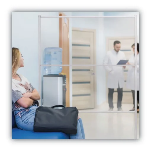 49 in. x 22 in. x 81 in. Protector Series Mobile Glass Panel Divider - Clear/Aluminum Office Furniture & Lighting